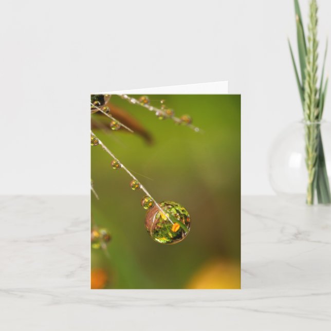 Wassertropfen Nah (Vorderseite)