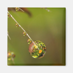 Wassertropfen Nahaufnahme Magnet