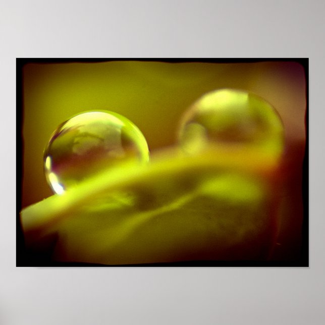 Wassertropfen Poster (Vorne)