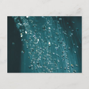 Wassertropfen Postkarte