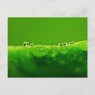 Wassertropfen Postkarte