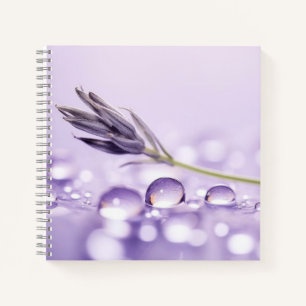 Wassertropfen tauchen Natur Serene Ruhe Notizbuch