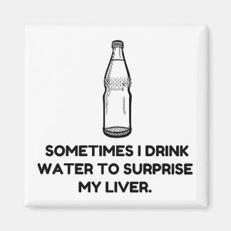 Wasserüberraschung Magnet