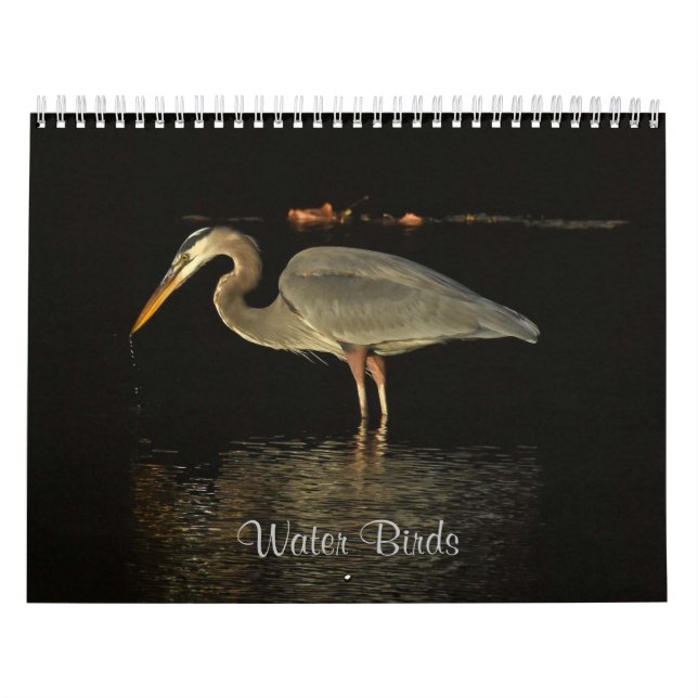Wasservögel 2 kalender (Titelbild)
