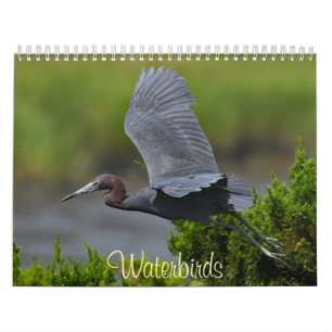 Wasservögel 4 kalender