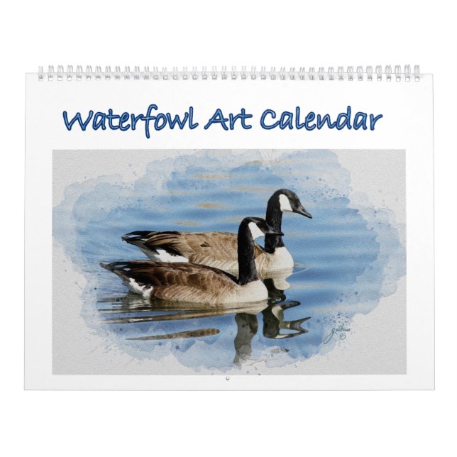 Wasservögel Art Kalender (Titelbild)