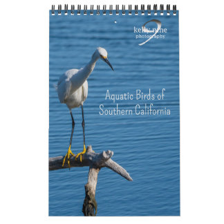 Wasservögel aus Südkalifornien von Kelly Nine Kalender