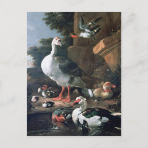Wasservögel in klassischer Landschaft, 17. Jahrhun Postkarte