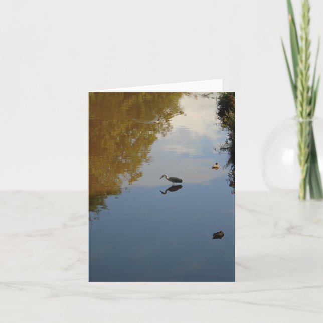 Wasservögel in Pollok Park, Glasgow Karte (Vorderseite)