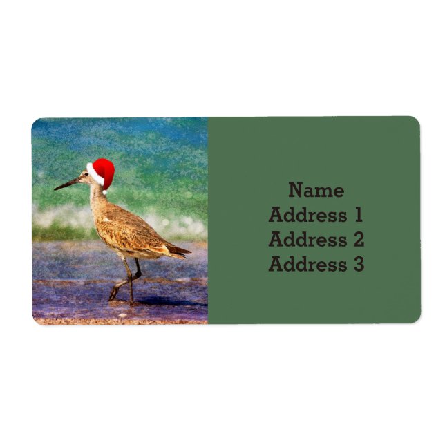 Wasservogel in Weihnachtsmannmütze am Strand Weihn (Vorne)