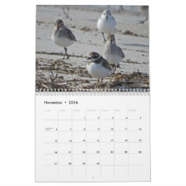 Wasservögel Kalender