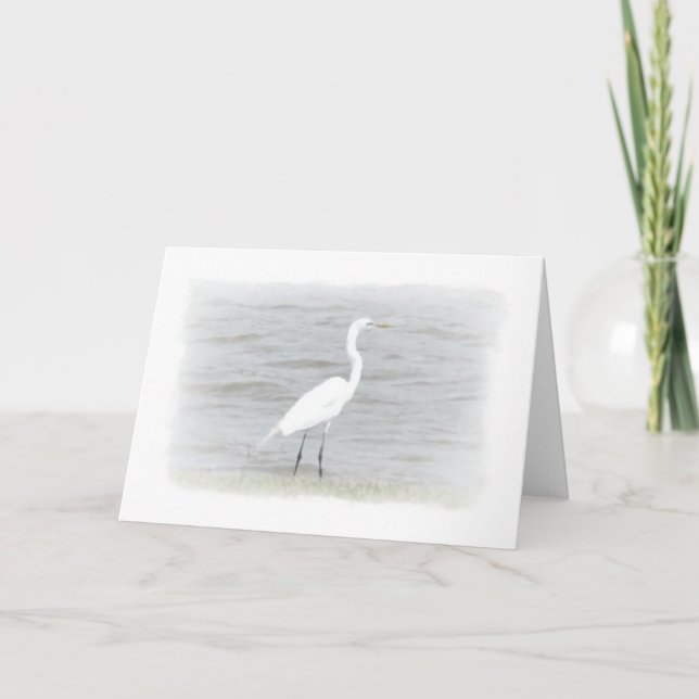 Wasservogel Karte (Vorderseite)