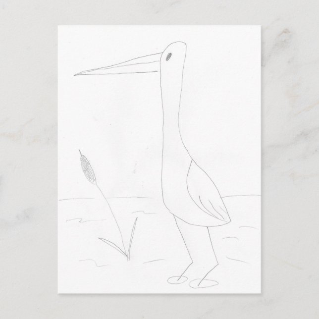 Wasservogel Postkarte (Vorderseite)
