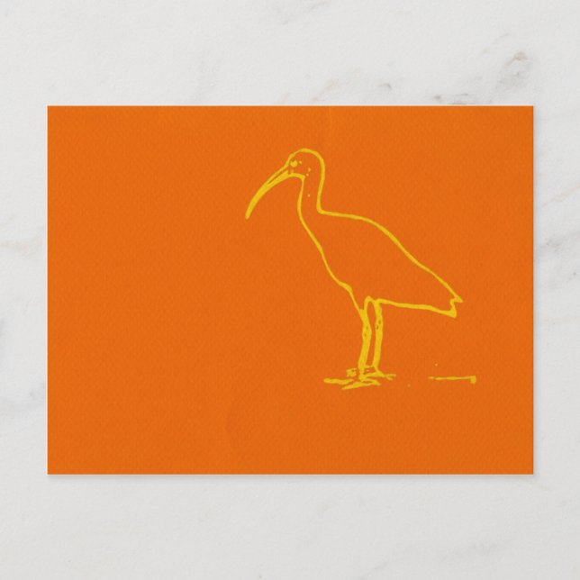 Wasservogel Postkarte (Vorderseite)