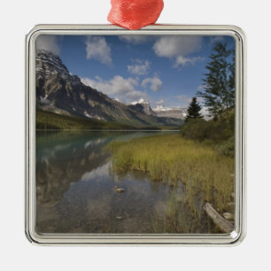 Wasservogelsee entlang der Icefields Parkway, Ornament Aus Metall