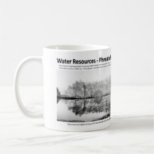 Wasservorkommen I - Phreatophytes auf der Kaffeetasse