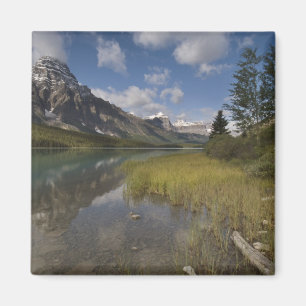 Wasserwildsee entlang der Icefields Parkway, Magnet