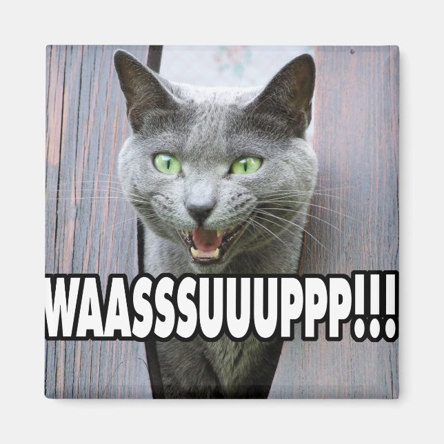WASSUP - Cat Meme Magnet (Vorne)