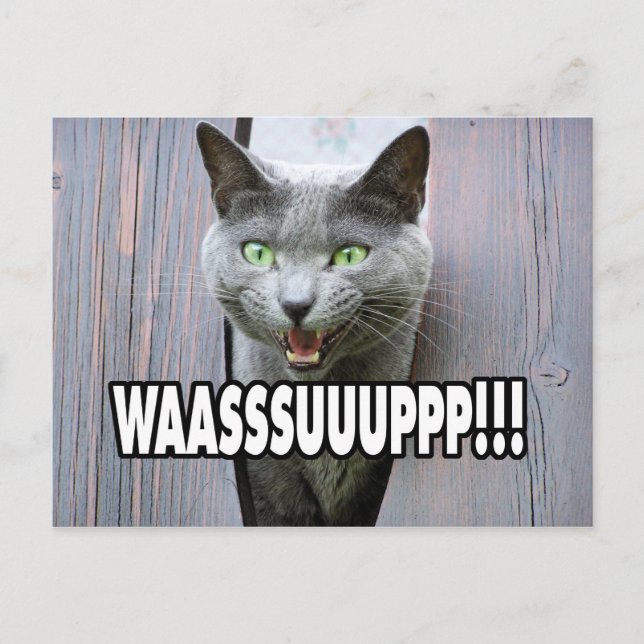 WASSUP - Cat Meme Postkarte (Vorderseite)