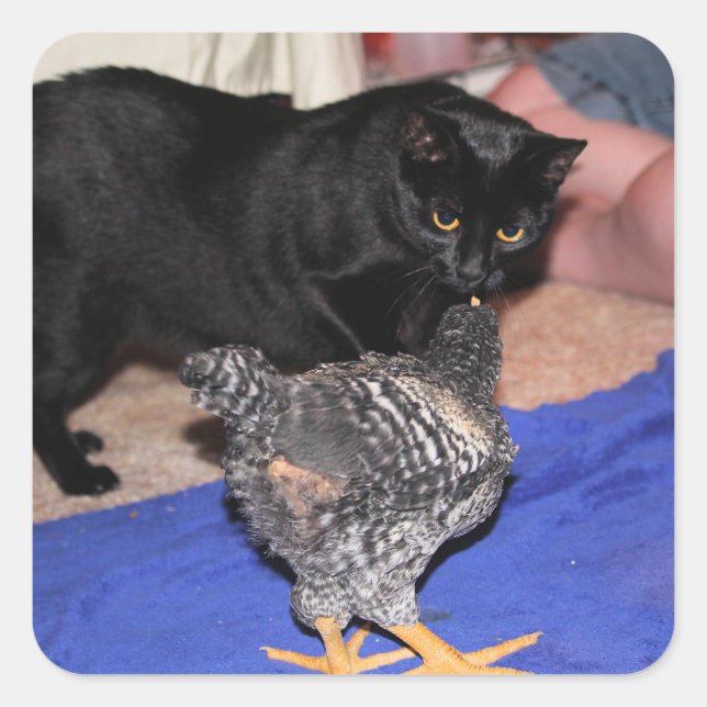 Watchers Quadratischer Aufkleber (Vorderseite)