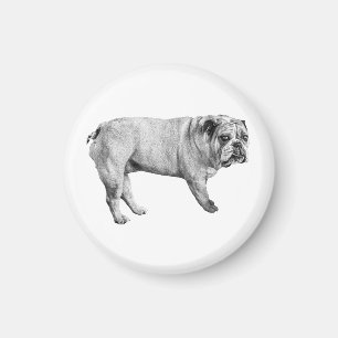 Watchful Bulldog Magnet