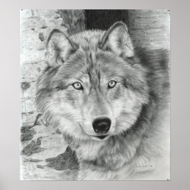Watchful Eyes wolf poster (Vorne)