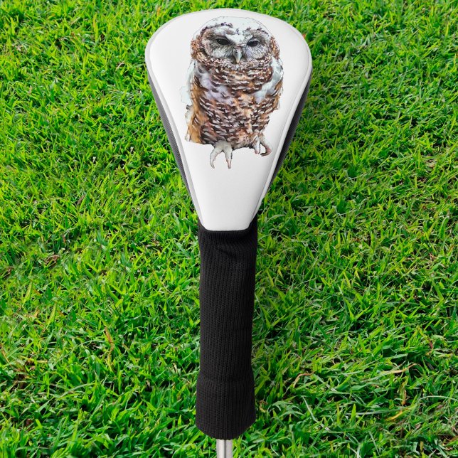 Watchful Owl Golf Headcover (Von Creator hochgeladen)