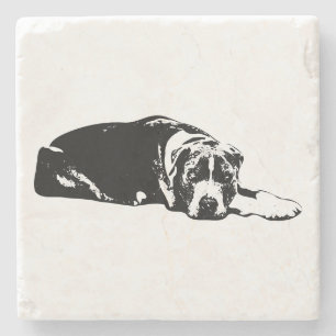 Watchful Pitbull Mix Lying Pose Untersetzer