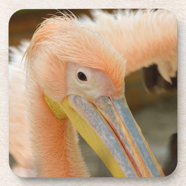 Watching You Pelican Cork Coaster Getränkeuntersetzer (Vorderseite)