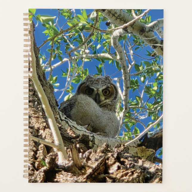 Watching You Planner Planer (Vorderseite)