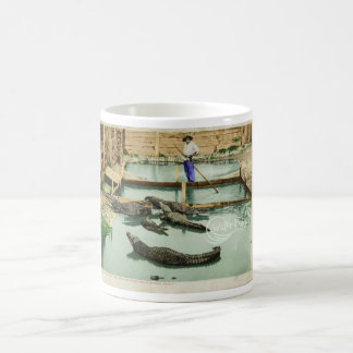 Water Baby Alligator Joe Kaffeetasse