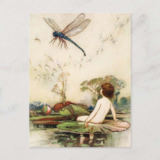 Water Baby und Dragon Fly Postkarte (Vorderseite)