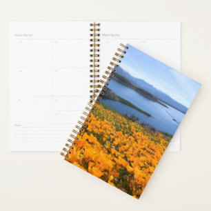 Water California Lake With Golden Poppies Planer