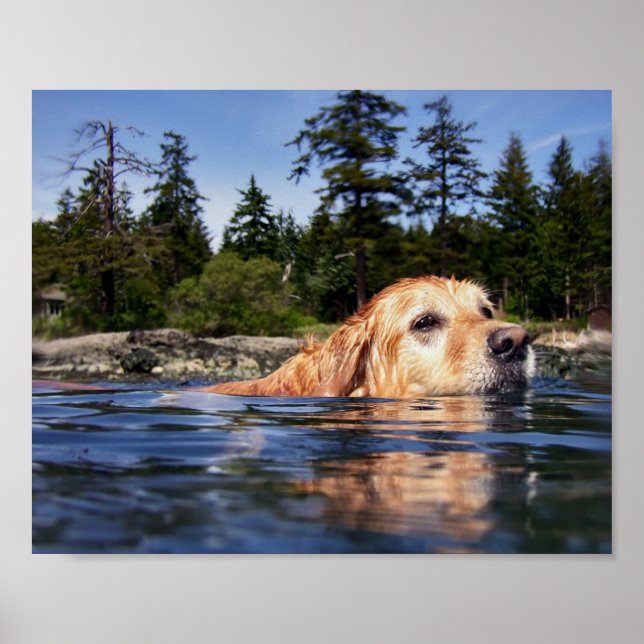 Water Dog - Fine Art Prints Poster (Vorne)