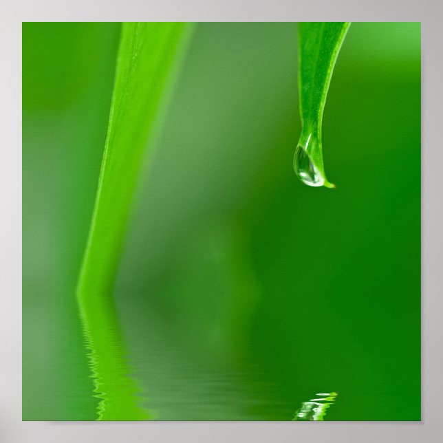 Water drop Poster (Vorne)
