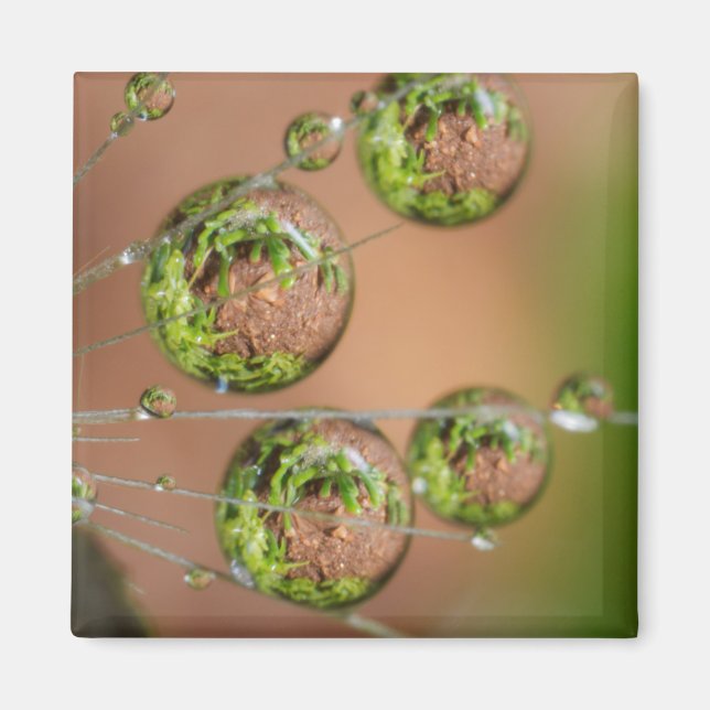 Water Droplet Reflektion Magnet (Vorne)