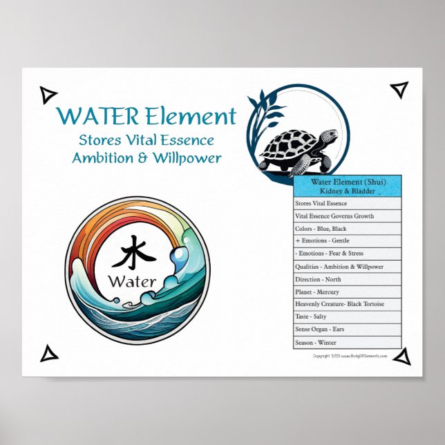 Water Element Acupuncture Poster (Vorne)