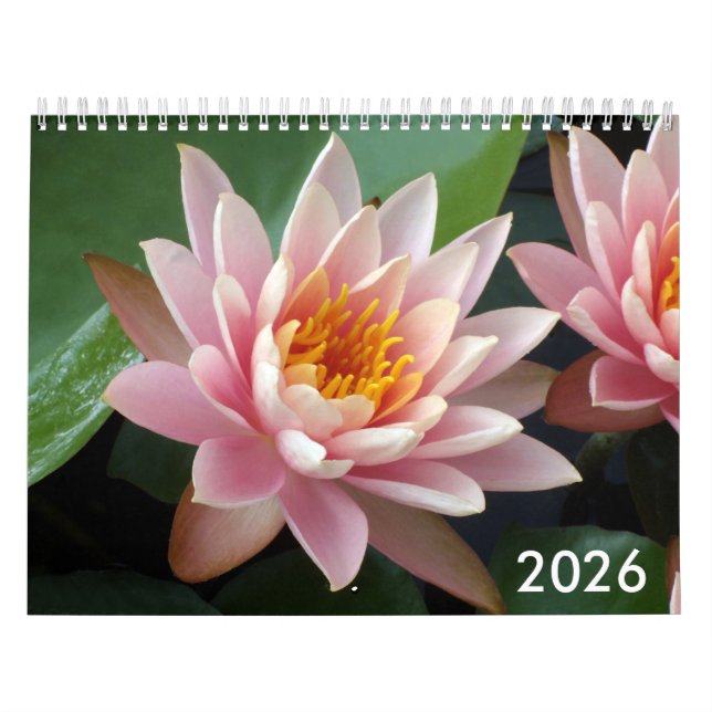 Water Lilies Calendar 2026 Kalender (Titelbild)