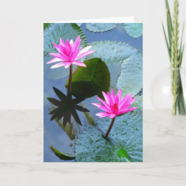 Water Lilies Karte