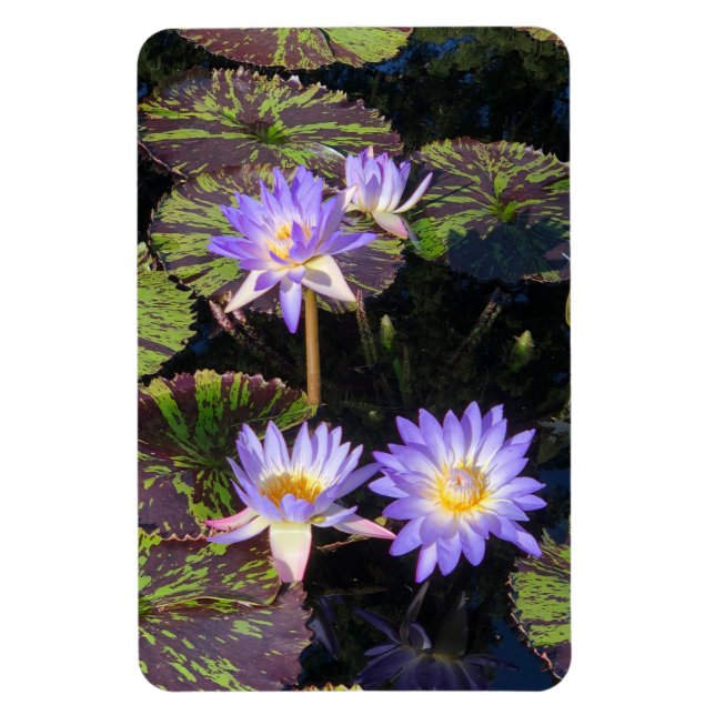 Water Lilies Magnet (Vertikal)