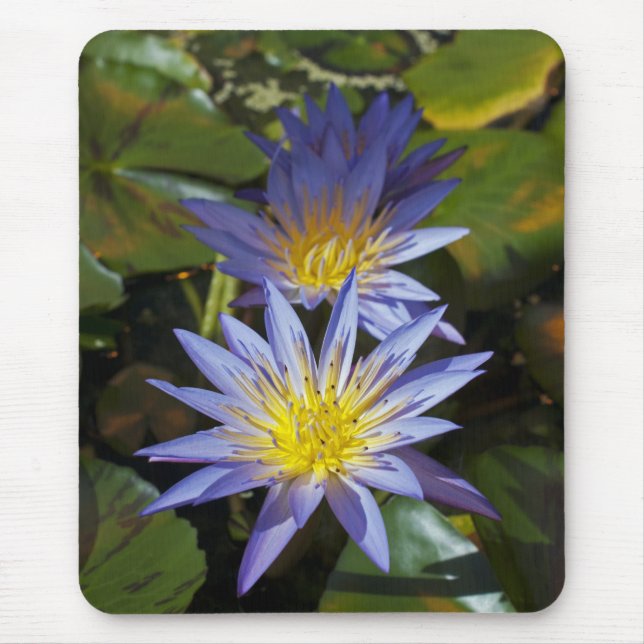 Water Lilies Mousepad (Vorne)