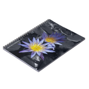 Water Lilies Notebook Notizblock