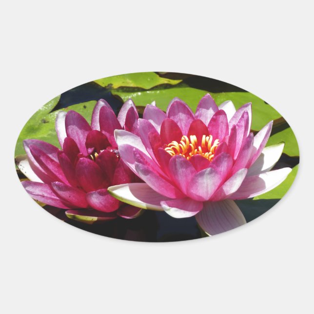 Water Lilies Ovaler Aufkleber (Vorderseite)