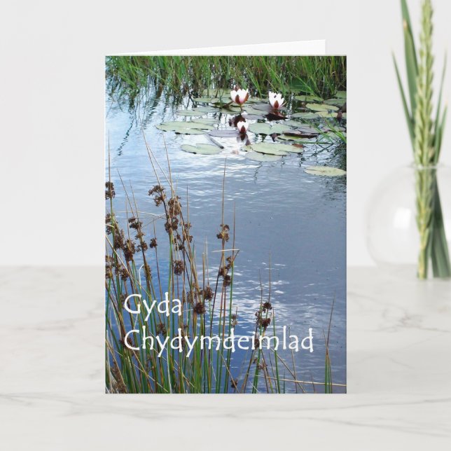 Water Lilies Sympathy Card - Walisische Gruß Karte (Vorderseite)