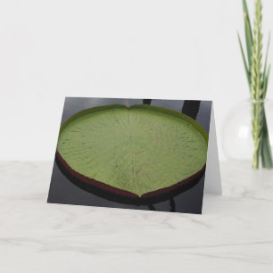 Water Lilly Leaf Note Card Karte
