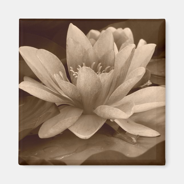 Water Lilly Magnet (Vorne)