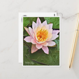 Water Lily ポストカード Postkarte