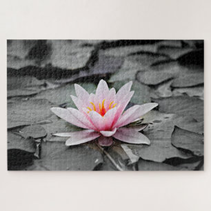 Water Lily Aquatic Pflanze Puzzle