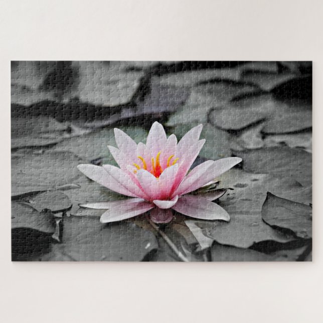 Water Lily Aquatic Pflanze Puzzle (Horizontal)