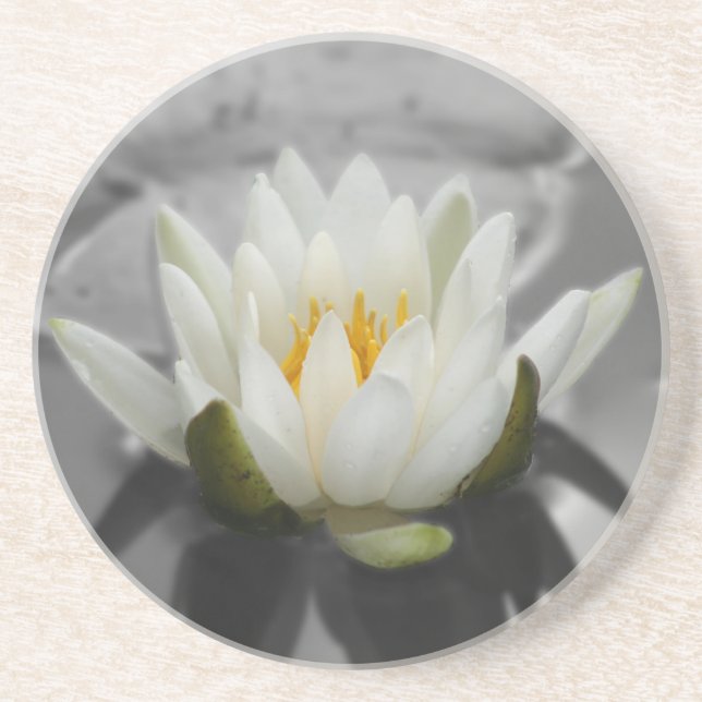 Water Lily Floral Untersetzer (Vorne)